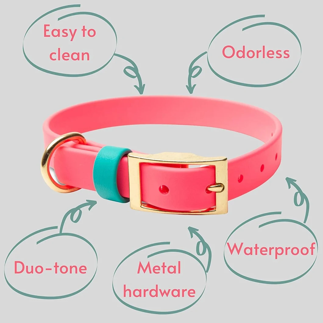 Dog Collar Manufacturers Waterproof Pet Products Reflective for Walking Dogs