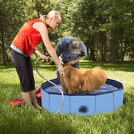 Piscines pliables pour chiens Piscine pliable pour animaux de compagnie pour enfants