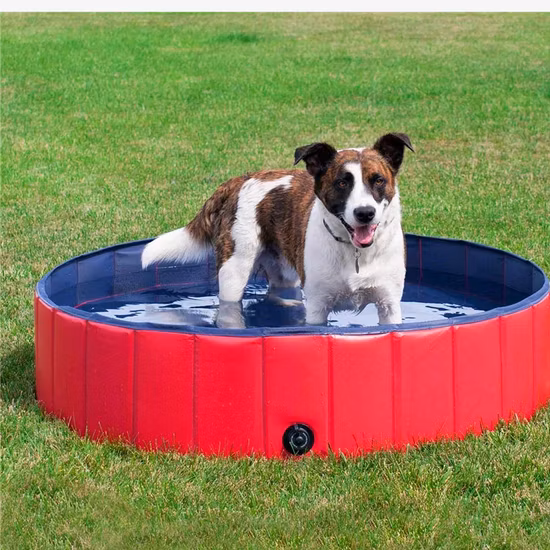 Piscine pliable pour chien pour grands chiens Portable en plastique dur PVC baignoire pour animaux de compagnie piscine pliable extérieure