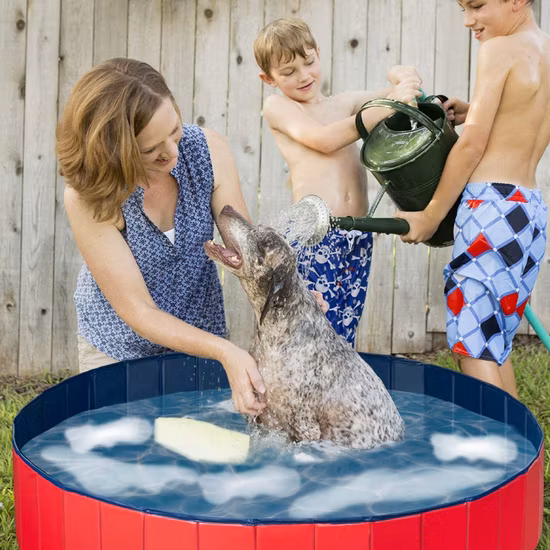 Piscine pour chien pliable en PVC pour chien de compagnie