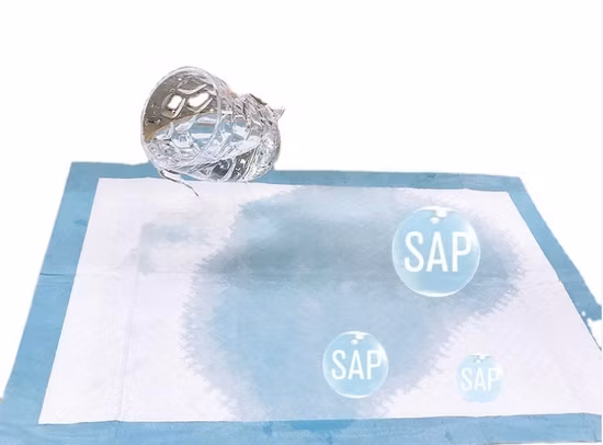 Tapis de jeu gonflable pour animaux de compagnie